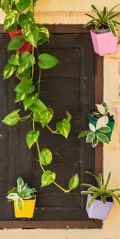 CÔNG TY TNHH HORECA VIỆT NAM