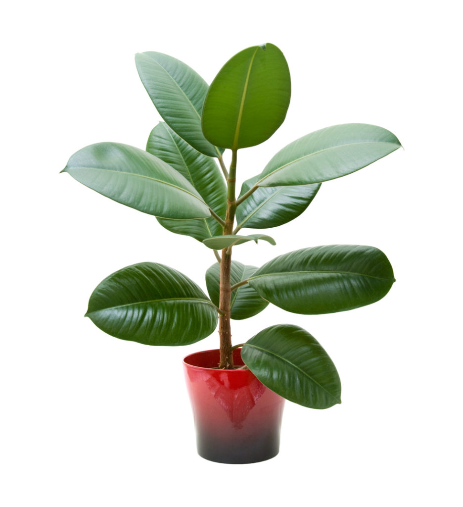 CÔNG TY TNHH HORECA VIỆT NAM