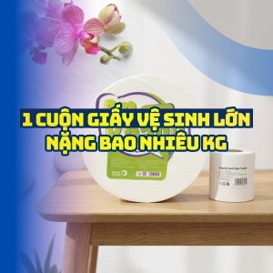 1 cuộn giấy vệ sinh lớn nặng bao nhiêu kg