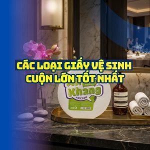 Các loại giấy vệ sinh cuộn lớn tốt nhất