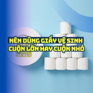 Nên dùng giấy vệ sinh cuộn lớn hay cuộn nhỏ