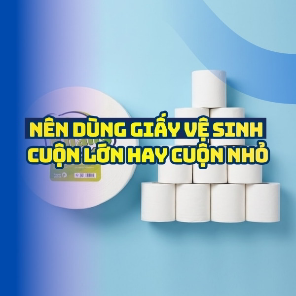 Nên dùng giấy vệ sinh cuộn lớn hay cuộn nhỏ