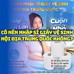 Có nên nhập sỉ giấy vệ sinh nội địa trung giá sỉ để kinh doanh không?