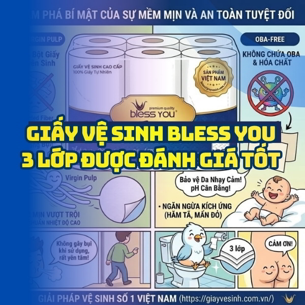 Horeca Việt Nam cung cấp giấy vệ sinh bless you 3 lớp giá tốt giao hàng tận nơi