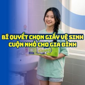 Horeca Việt Nam cung cấp giấy vệ sinh cuộn nhỏ cho gia đình giá tốt giao hàng tận nơi