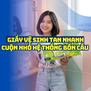 Horeca Việt Nam cung cấp giấy vệ sinh tan trong nước cuộn nhỏ giá tốt giao hàng tận nơi