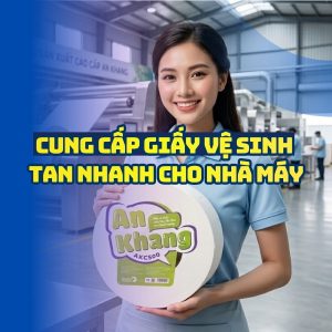 Mua giấy vệ sinh tan nhanh cho nhà máy uy tín giá sỉ tốt nhất tại Horeca Việt Nam