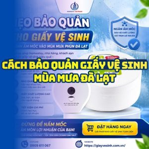 Hướng dẫn cách bảo quản giấy mùa mưa Đà Lạt tốt nhất tại Horeca Việt Nam