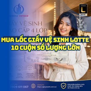 Horeca Việt Nam cung cấp giấy vệ sinh lotte 10 cuộn giá tốt số lượng lớn