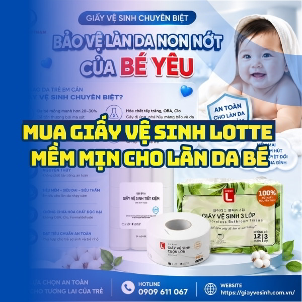 Horeca Việt Nam cung cấp giấy vệ sinh lotte cho trẻ em giá tốt giao hàng tận nơi