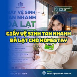 Horeca Việt nam địa chỉ cung cấp giấy vệ sinh tan nhanh Đà Lạt giá sỉ tốt nhất giao hàng tận nơi