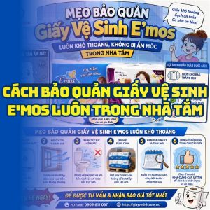 Cách bảo quản giấy vệ sinh E'mos luôn khô thoáng trong nhà tắm