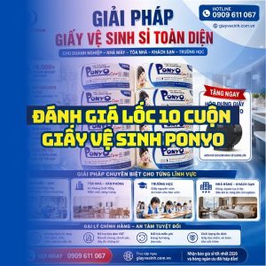 Horeca Việt Nam địa chỉ mua lốc 10 cuộn giấy vệ sinh ponyo uy tín giá sỉ tận xưởng giao nhanh