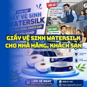 Horeca Việt Nam địa chỉ mua sỉ giấy vệ sinh watersilk cho nhà hàng khách sạn tốt nhất giao hàng tận nơi