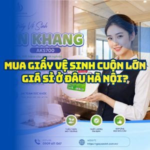 Mua giấy vệ sinh cuộn lớn giá sỉ ở đâu hà nội? đảm bảo giấy sạch không bụi tại Horeca Việt Nam