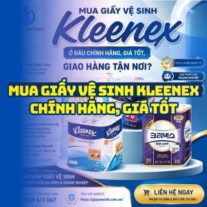 Mua giấy vệ sinh kleenex ở đâu chính hãng giá tốt vận chuyển tận nơi?