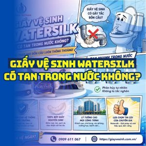 Tìm hiểu giấy vệ sinh watersilk có tan trong nước không và cách xử lý tránh tắc bồn cầu tại Horeca Việt Nam