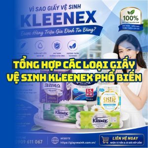 Tổng hợp các loại giấy vệ sinh kleenex phố biến nhất hiện nay giá tốt nhất tại Horeca Việt Nam