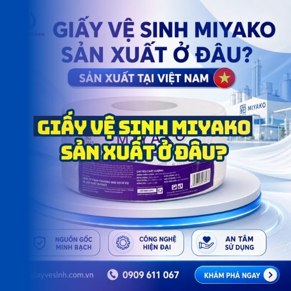 Khám phá giấy vệ sinh miyako sản xuất ở đâu tại Horreca Việt Nam