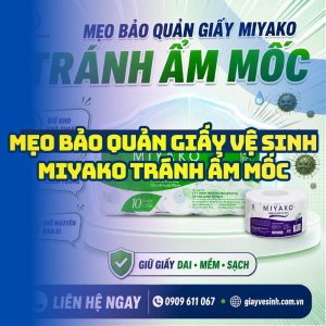 Mẹo bảo quản giấy vệ sinh miyako tr ánh ẩm mốc tại Horeca Việt Nam