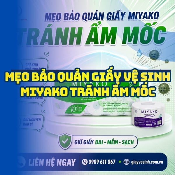Mẹo bảo quản giấy vệ sinh miyako tr ánh ẩm mốc tại Horeca Việt Nam
