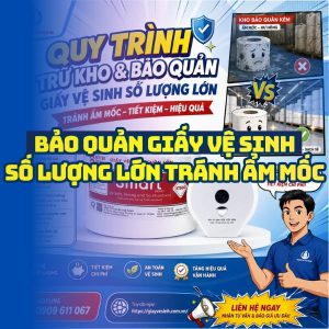 Quy trình bảo quản giấy vệ sinh số lượng lớn tránh ẩm mốc tại Horeca Việt Nam