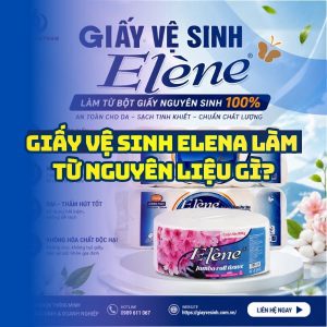 Tìm hiểu nguyên liệu giấy vệ sinh elena tại Horeca Việt Nam