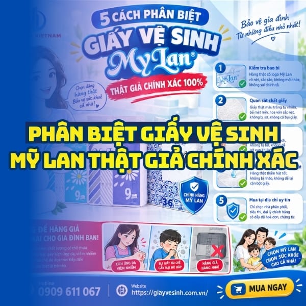 5 cách phân biệt giấy mỹ lan thật giả chính xác nhất tại Horeca Việt Nam