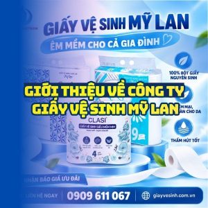 Giới thiệu về công ty giấy vệ sinh Mỹ Lan