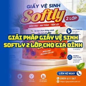 Horeca Việt Nam địa chỉ mua giấy vệ sinh softly 2 lớp tiê ts kiệm chi phí cho gia đình