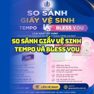 So sánh giấy vệ sinh tempo và bless you uy tín an toàn cho cả gia đình tại Horeca Việt Nam