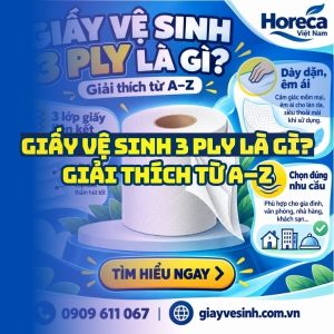 Giải thích giấy vệ sinh 3 ply là gì từ A-Z tại Horeca Việt Nam