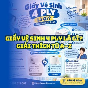 Giải thích giấy vệ sinh 4 ply là gì từ A-Z tại Horeca Việt Nam