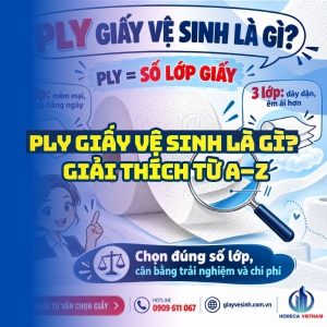 Giải thích ply giấy vệ sinh là gì từ A-Z tại Horeca Việt Nam