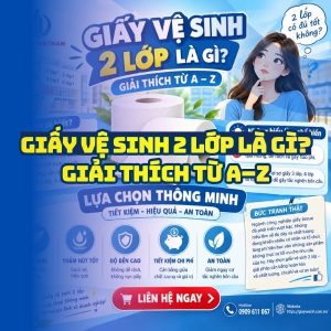 Giấy vệ sinh 2 lớp là gì? Giải thích từ A-Z tại Horeca Việt Nam