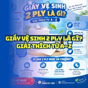 Giấy vệ sinh 2 ply là gì giải thích từ A-Z tại Horeca Việt Nam