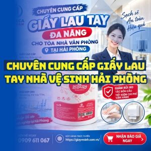 Horeca Việt Nam chuyên cung cấp giấy lau tay nhà vệ sinh hải phòng uy tín giá tốt