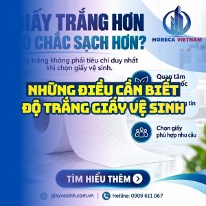 Những điều cần biết độ trắng giấy vệ sinh tại Horeca Việt Nam