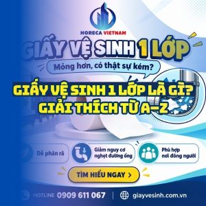 Tìm hiểu giấy vệ sinh 1 lớp là gì từ A-Z tại Horeca Việt Nam