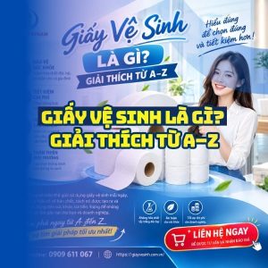Tìm hiểu giấy vệ sinh là gì từ a đến z tại Horeca Việt Nam